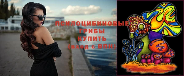 мескалин Новозыбков