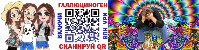 Псилоцибиновые грибы Cubensis что такое наркотик Сураж